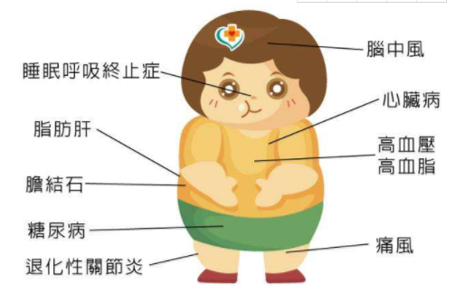 便携式骨密度检测仪检测发现肥胖与许多健康问题有关体重增加使骨质疏松风险上升